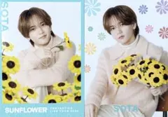 FANTASTICS 中島颯太フォトカード セット シクレ SUNFLOWER