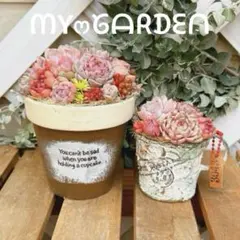 そのまま飾れる多肉植物♥️2点セット♪寄せ植え鉢 リメイク缶