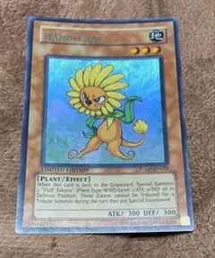 2026年最新】カード種別：モンスターカード 遊戯王OCG デュエル