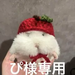 ぴ様専用