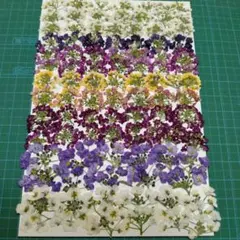 ハンドメイド雑貨のお店＊Daisy＊様 リクエスト 2点 まとめ商品