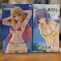 【未開封】片桐奈々瀬・畔美岬 ぬきたし Trio-Try-iT 2体セットのサムネイル