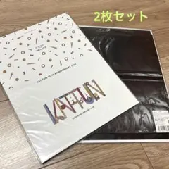 KAT-TUN 15TH ANNIVERSARY LIVE 会報フォルダー 2枚