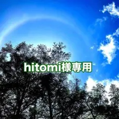 hitomi様専用‼️天然ふきのとう ネコポス満タン