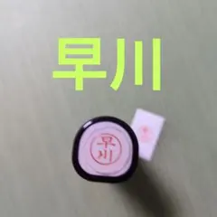シャチハタネーム9印鑑【早川】