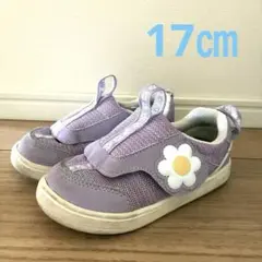 イフミーカラン　17㎝