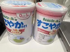 雪印 BeanStalkすこやか 粉ミルク800g 2個セット