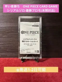 早い者勝ち シリアルゾロ(未開封品)限定プロモーションカード1枚※2700枚限定