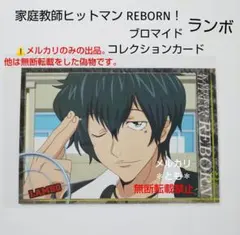 2026年最新】家庭教師ヒットマンREBORN! リボーン ブロマイド