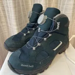 Item thumbnail for item 6dbb007a-7322-4be2-ab20-ca6a0fdac70b