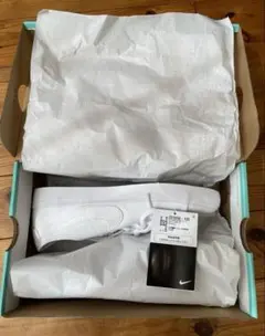 nike sb スニーカー