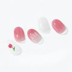 Ohora N Tulip Bonbon 新品