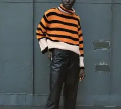 即購入◎ ✨ ZARA ボーダー ニット ハイネック セーター ティガー 虎