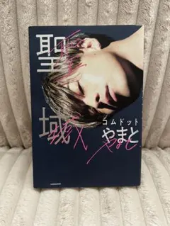 聖域 コムドット やまと