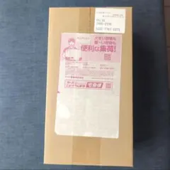 新品未開封品・24時間以内に発送］ポケモンセンター ヒロシマのピカチュウ