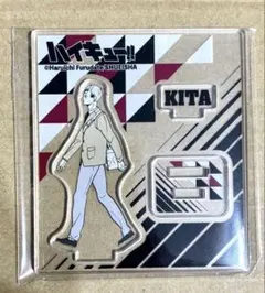 ハイキュー アクリルフィギュアコレクション