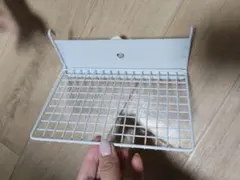 Item thumbnail for item 3e9d0400-8e89-4a21-a60e-4c87fc7ed4f7