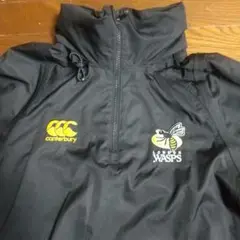 ワスプス wasps ビステ カンタベリー German wasps launch stinging attack in Canterbury | Star News