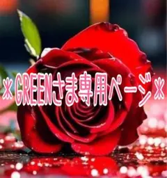 * GREENさま専用ページ*