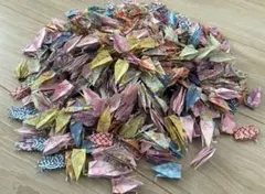 Item thumbnail for item e264a765-9d2e-47db-8dc3-e5afa38da2be