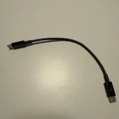 amazonbasics 20cm Type-C to Type-C ケーブル