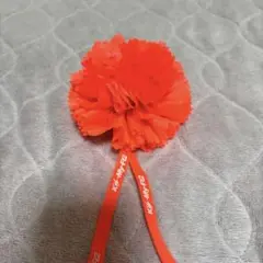 キスマイ シュシュ