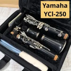 ✨美品✨YAMAHA ヤマハ YCL-351 クラリネット グラナディラ材 - メルカリ