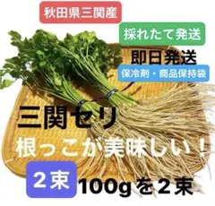 2026年最新】三関せりの人気アイテム - メルカリ