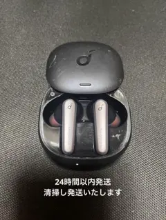 Anker Soundcore Liberty Air 2 Proのサムネイル