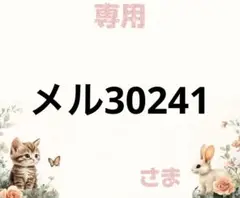 専用