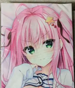 セレクトオブリージュ 柚子奈ひよ サイン入りキャンパスアート F6 セレクトオブリージュ 柚子奈ひよ サイン入りキャンパスアート F6