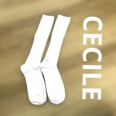 CECILEスマートドライハイソックス2足23〜25cm