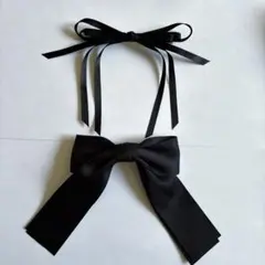 Item thumbnail for item 918ddc41-bdb1-4545-92eb-c76f173bc2b4