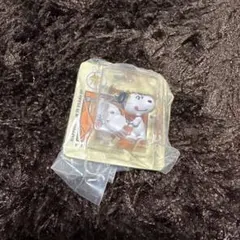 PEANUTS パッケージミニチュアコレクション