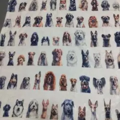 犬柄 ブランケット 毛布 アニマル柄 膝掛け