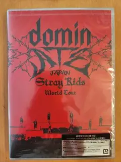 ヒョンジン 封入 楽天 特典トレカ エコパ 通常盤 straykids 未開封