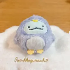 すみっコぐらし　受注生産　限定　てのりぬいぐるみセット　ぺんぎんラグーン　新品