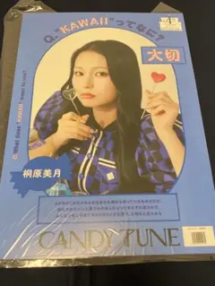 CANDY TUNE 桐原美月 チェキ セット CANDY TUNE 福山梨乃 桐原美月 新衣装チェキ ペアチェキの通販 by ぴ's