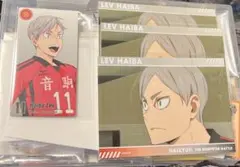 ハイキュー 灰羽リエーフ ゴミ捨て場の決戦展 チケット風カード スナップカード