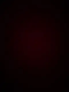 やどんちゃん様専用 Vita 本体 ブラック 箱付き