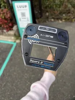 Item thumbnail for item 81fb00dd-f725-4a48-959d-08962368b67c