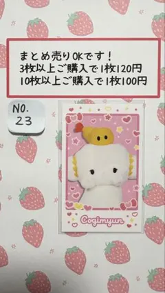 専用ページ　2枚まとめ売り