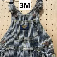3M オシュコシュOshKosh B'gosh ストライプオーバーオール 兄弟