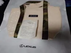 Item thumbnail for item 0ba2e1ed-7805-4330-9621-ec7f487f56fb