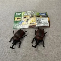 アニアのたまご　昆虫コレクション カブトムシ　2個　タカラトミーのサムネイル