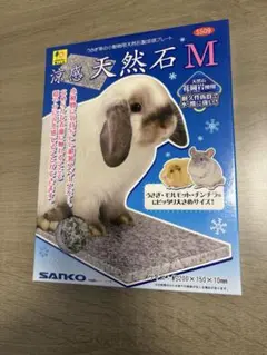 Item thumbnail for item d5765c61-7850-41b2-b545-45d4458a9937