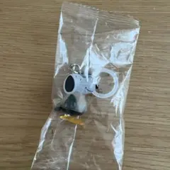 PEANUTS めじるしアクセサリー FUNNY VER. スヌーピー