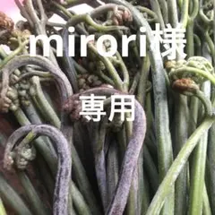 mirori様 専用です‼️ 山菜　野菜