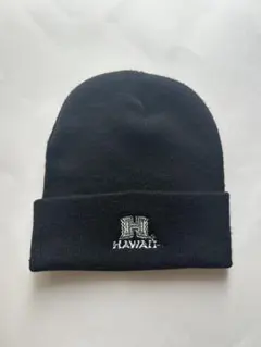 Item thumbnail for item 2b609237-3cef-4392-8858-86483df3114c