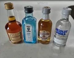 2025年最新】ヘネシー ミニボトルの人気アイテム - メルカリ